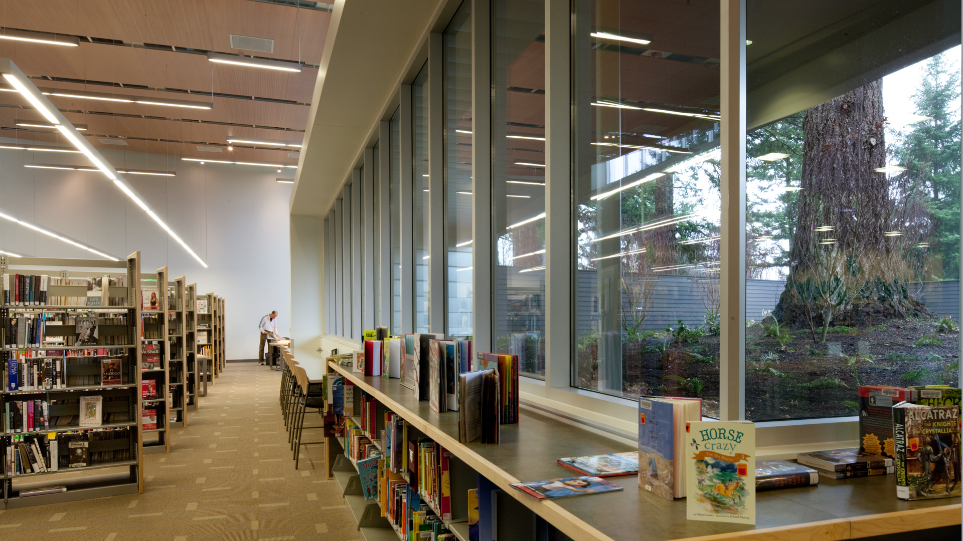 Cascade Park Community Library Opsis Architecture